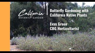 Habitat Gardening for Butterflies with Evan Green