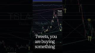 Investing in Stocks  More Than Just Company Shares