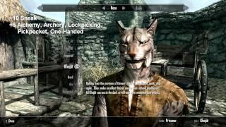 Skyrim Walkthrough: Ep. 1 Guide to Choosing a Race in Skyrim (auluftwaffles.wordpress.com)