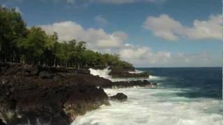 Makenzie State Park on the big island Time Lapse