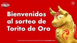 Sorteo de la lotería Torito de Oro - sábado 8 de octubre