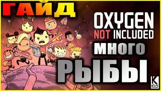 Oxygen Not Included подробный и понятный гайд по разведению рыбы. Автоматический питомник для рыбы