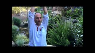 Pure Energy Series for Sun Chlorella: Water’s Benefits