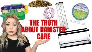 THE TRUTH ABOUT HAMSTER CARE + HAMSTER MISCONCEPTIONS!