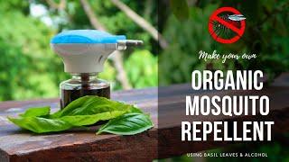 Natural Organic Mosquito Repellent | Basil and Alcohol