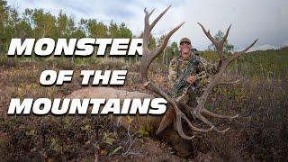 Monster of the Mountains- Giant Bull with a Bow, Whitetail Style