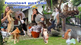 Best Funniest Videos of 2024 Funny Pets Fail to Master Their Masters