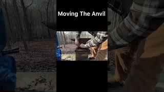 Moving the anvil to the new stand. #shorts #anvilstand #anvil