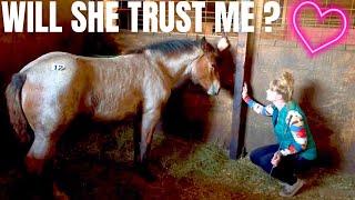 Our UNHANDLED Auction Filly is Home! Watch Her First 24 Hours & Name Reveal