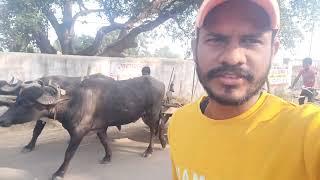 Abhi Ham Jaa Rahe Khet #dailyvlog #vlog #badrikewatvlogs