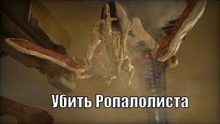 warframe как убить Ропалолиста