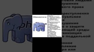 Мнение любого программиста #программирование #айти #php #вебразработка