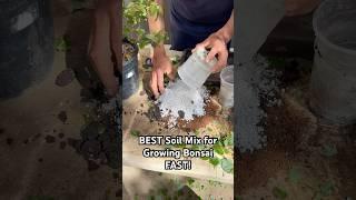 The BEST Soil Mix for Growing Bonsai FAST! #bonsai #bonsaitree #gardening #plants #tips #shorts