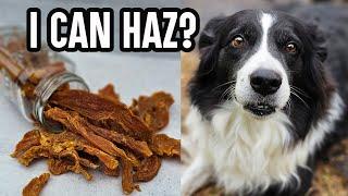 Stop Buying Unhealthy Dog Treats! Make These Easy Chicken Dog Treats Your Pup will Love! 