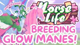 Breeding Glow Mane Horses + New UNRELEASED Breed! Horse Life Roblox Horse Game