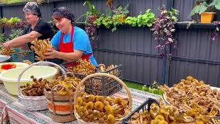 MARINATED HONEY MUSHROOM FOR THE WINTER. How to marinate mushrooms for the winter in jars.