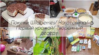 Мотивация на уборку, готовку Творожный десерт. Покупки Wildberries. Первый урожай.