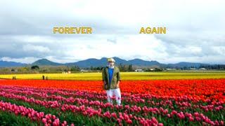 Kings Kaleidoscope - Forever Again - Lyric Video
