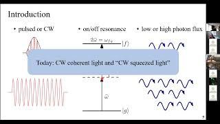 Aspects of two-photon absorption of squeezed light: the CW limit