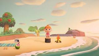 Sunshine on the Horizon