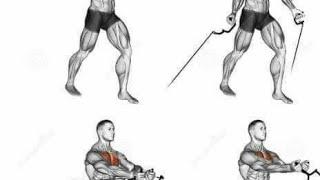 Best chest exercises #muscle hub gym