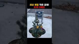 세상에서 제일 작은 공원! 이게 다예요