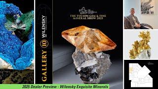 Wilensky Exquisite Minerals - Dealer Preview - Tucson Fine Mineral Gallery - 2025