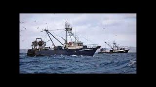 Alaska Pollock Fishing (full documentary) - DOCFILMS