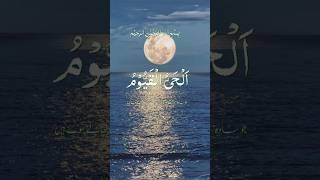Ayatul kursi beautiful recitation#ayatulkursi#surahbaqarah #viraltelawat