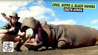 Dangerous Hunt for Croc, Hippo and Black Mamba!