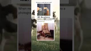 Meme: You Are Photographer and Throwing Sing In Every Situation 