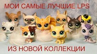 LPS / ТОП ЛЮБИМЫХ Lps из новой коллекции/ Lps new collection