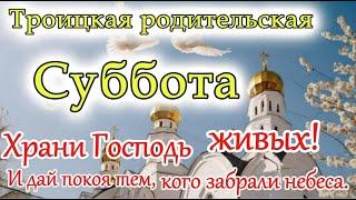 Троицкая родительская суббота. Молитва на троицкую родительскую субботу. 22.06.2024