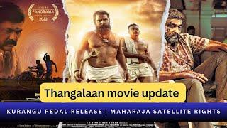 Thangalaan update | Kurangu pedal release date | maharaja movie updates | guru plex