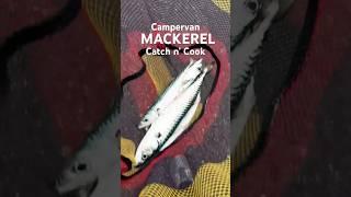 Mackerel Catch N’ Cook - Campervan Breakfast