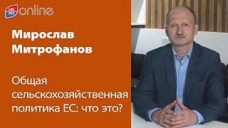 Общая сельскохозяйственная политика ЕС