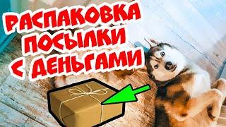 DOGVLOG: ХАСКИ ПОЛУЧИЛ ПОСЫЛКУ С ДЕНЬГАМИ! Выполняю ЗАДАНИЯ ПОДПИСЧИКОВ. Говорящая собака