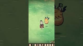 Как прокачать ПАКИМА в Don't Starve #dontstarve #shipwrecked #гайд #shorts #youtubeshorts