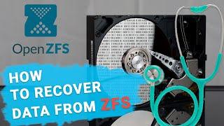  Top Tools to Recover Data from ZFS Drives. How to Recover Data from ZFS File System