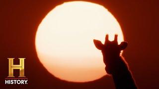 ALONE Africa: Extended Sneak Peek
