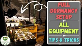 Full Venus Flytrap Dormancy Setup - All Equipment + Tips & Tricks