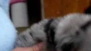 Mon ti bébé