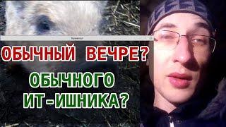 Обычный вечер обычного ИТ-ишника