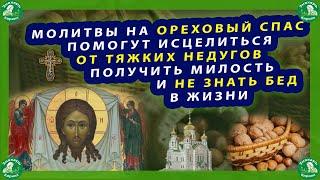 МОЛИТВЫ НА ОРЕХОВЫЙ СПАС(29 Августа) ПОМОГУТ ИСЦЕЛИТЬСЯ ОТ ТЯЖКИХ НЕДУГОВ, И ПОЛУЧИТЬ МИЛОСТЬ БОГА.