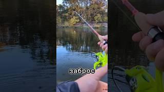 ЛОВЛЮ ЩУКУ С ПЕРВОГО ЗАБРОСА! День 4 #fishing #щука #рыбалка