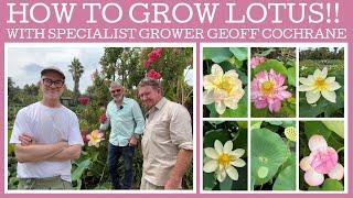 How to grow Lotus with specialist grower Geoff Cochrane!