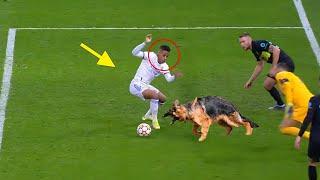 WTF Moments in Football #5