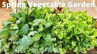 Planting A Spring Vegetable Garden