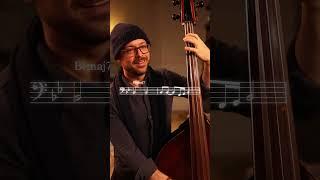 Present & Optimistic Bass Lines