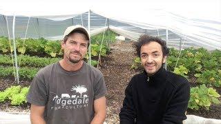 Ridgedale farm - Richard Perkins interview